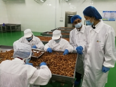 濟南外貿順差創新高 民企主導出口結構優化