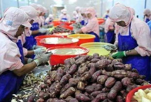 2017年，錯過這些初級農(nóng)產(chǎn)品好項目，農(nóng)民朋友們或?qū)⒑蠡? />
</span>
<span id=